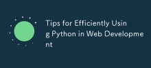 Tips for Efficiently Using Python in Web Development