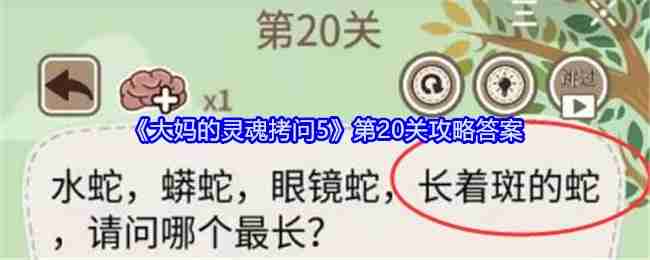 《大妈的灵魂拷问5》第20关攻略答案