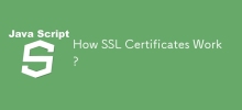 How SSL Certificates Work?