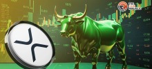 XRP Price Ready for Largest Bull Flag in History