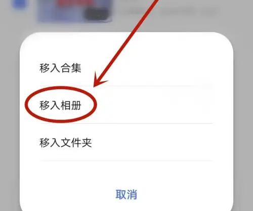 vivo浏览器怎么下载的视频到相册 下载的视频到相册操作方法