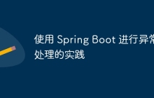 使用 Spring Boot 进行异常处理的实践