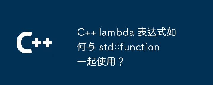 C++ lambda 表达式如何与 std::function 一起使用？