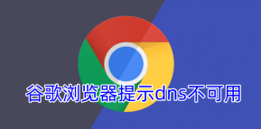 谷歌浏览器提示dns不可用怎么办