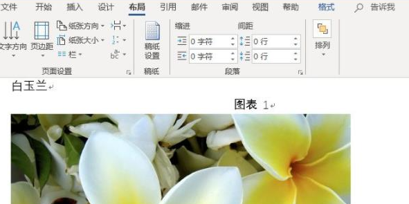 word文档怎么批量修改图片大小 word批量调整图片大小方法