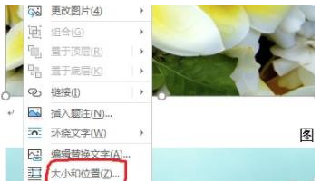Word文档怎么批量修改图片大小 Word批量调整图片大小方法
