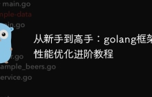从新手到高手：golang框架性能优化进阶教程