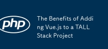 The Benefits of Adding Vue.js to a TALL Stack Project