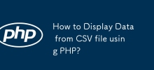 How to Display Data from CSV file using PHP?