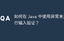 如何在 Java 中使用异常来进行输入验证?