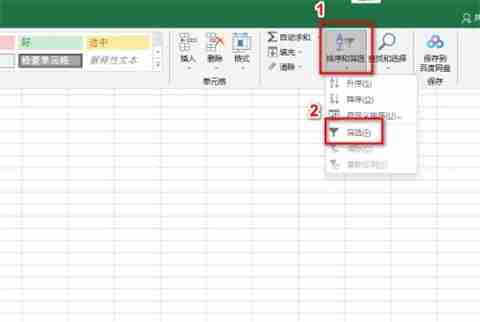 Excel表格怎么筛选特定内容 Excel表格筛选特定内容教程