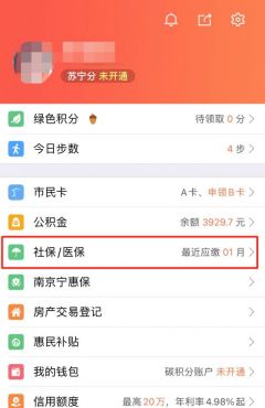 我的南京app如何查询养老金个人账户 我的南京app查询养老保险教程