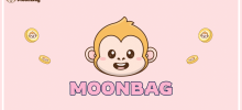 PlayDoge, Sundog, MoonBag: Which Crypto Presale Projects Hold the Most Promise in 2024?
