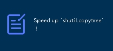 Percepatkan `shutil.copytree` !