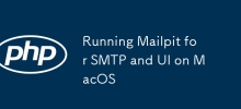 MacOS에서 SMTP 및 UI용 Mailpit 실행