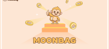 Who Comes Out on Top: What Shiba Inu's DAO, Dogwifhat's Meme Coin Vision and MoonBag's Unique Strategy Reveal About the Best Crypto Presale Projects 2024