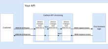 API Versioning at Monite