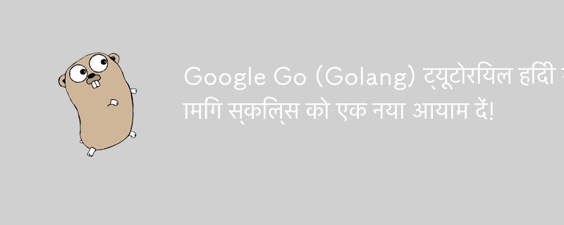 힌디어 Google Go(Golang) 튜토리얼: 프로그래밍 기술을 새로운 차원으로 끌어올려 보세요!