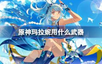 《原神》玛拉妮武器怎么带