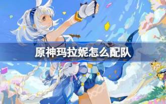 《原神》玛拉妮配队推荐