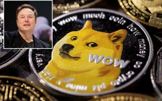 Elon Musk Wins Dismissal of Dogecoin Fraud Lawsuit Accusing Him of Defrauding Investors