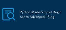 Python Made Simple: Beginner to Advanced | Blog