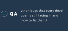 ython bugs that every developer is still facing in and how to fix them)