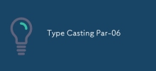 Typ Casting Par-06