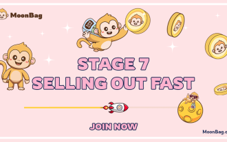 Pepe Coin (PEPE) vs. Pepe Unchained (PEPU) vs. MoonBag (MBAG)：哪一個是最好的加密貨幣預售平台？