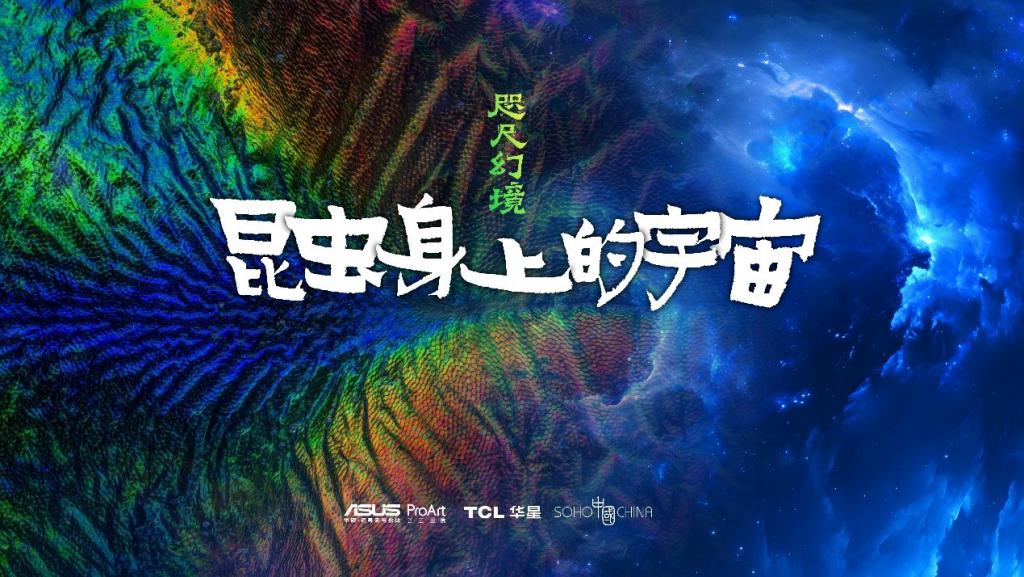 华硕电脑助力超微昆虫摄影展 领略 35 亿像素下的昆虫之美