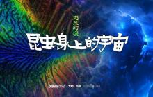 华硕电脑助力超微昆虫摄影展 领略 35 亿像素下的昆虫之美