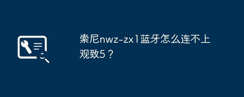 Sony nwz-zx1 Bluetooth가 Qoros 5에 연결할 수 없는 이유는 무엇입니까?