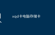 xqd卡电脑存储卡