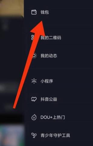 抖音极速版怎么查看账单 抖音极速版查看账单方法
