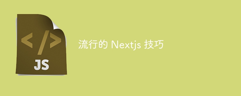 流行的 nextjs 技巧