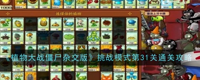 《植物大戰殭屍雜交版》挑戰模式第31關通關攻略