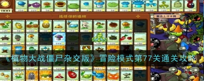 《植物大戰殭屍雜交版》冒險模式第77關通關攻略