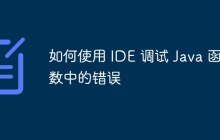 如何使用 IDE 调试 Java 函数中的错误