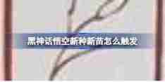 《黑神话悟空》新种新苗触发攻略