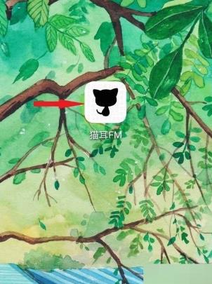 猫耳fm怎么设置头像音 猫耳fm设置头像音方法