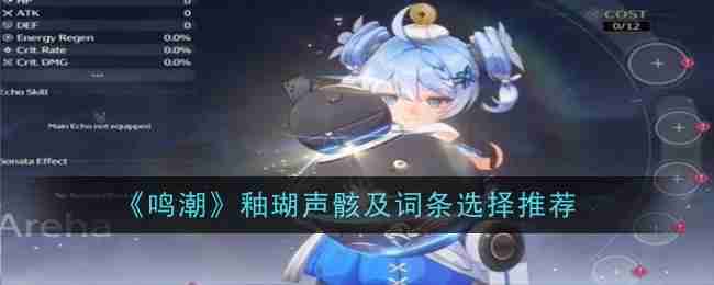 《鸣潮》釉瑚声骸及词条选择推荐