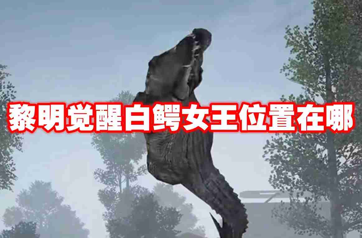 黎明觉醒白鳄女王位置在哪 黎明觉醒白鳄女王位置一览