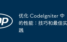 优化 CodeIgniter 中的性能：技巧和最佳实践