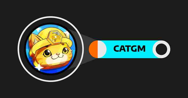 Ginnan the Cat(GINNAN)幣是什麼？如何運作？