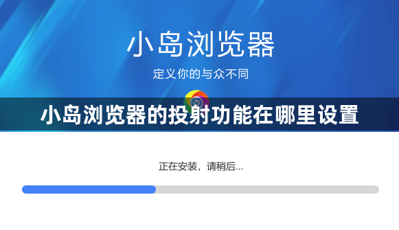 小岛浏览器的投射功能在哪里设置