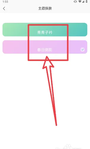 小果记账怎样更换主题