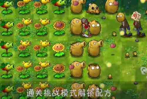 植物大战僵尸融合版冒险模式6关通关详解