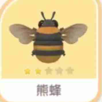 《心动小镇手游》熊蜂刷新位置一览