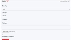 CakePHP 表单处理