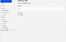 Windows11更新设置界面打不开的解决方法